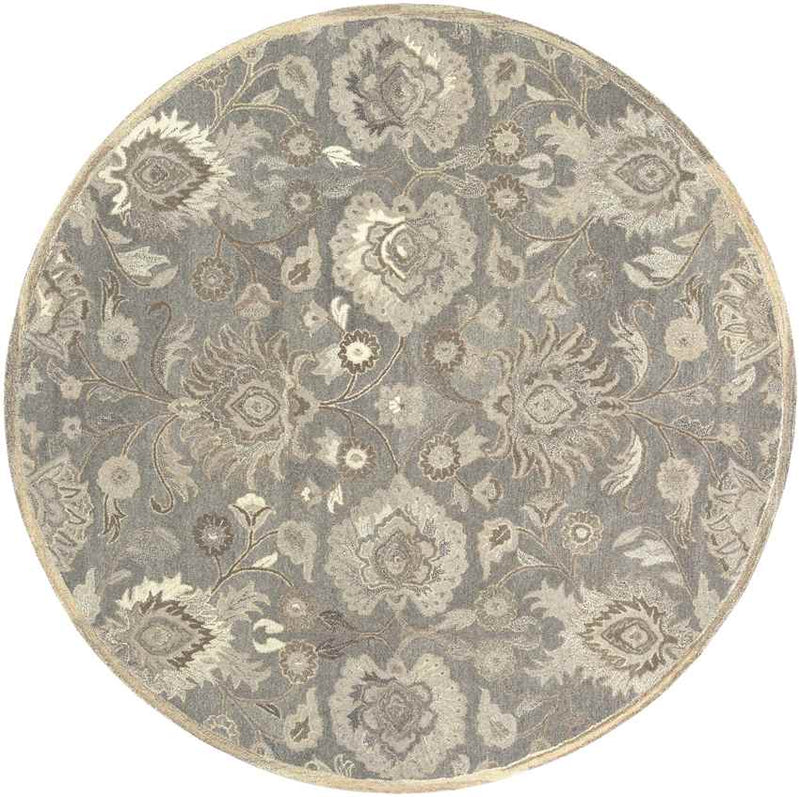 Eckville Traditional Taupe Area Rug