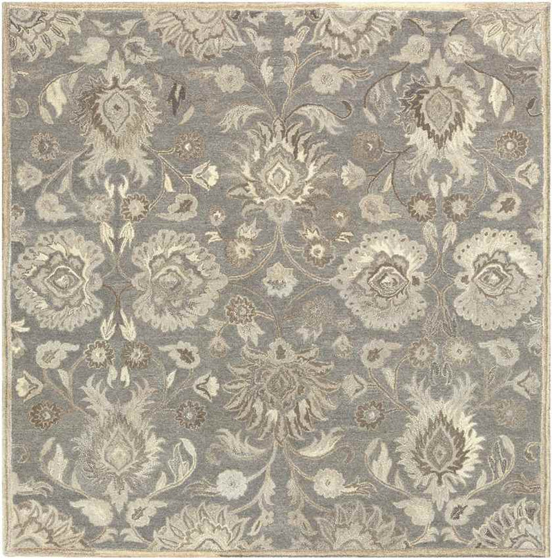 Eckville Traditional Taupe Area Rug