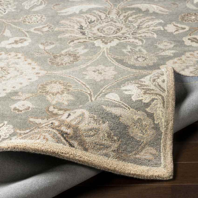 Eckville Traditional Taupe Area Rug