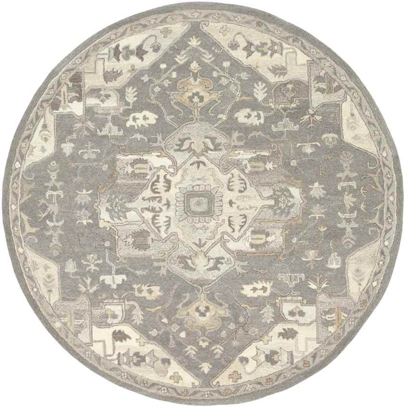 Roblin Traditional Taupe Area Rug