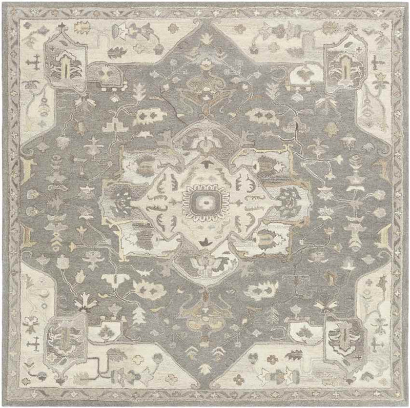 Roblin Traditional Taupe Area Rug