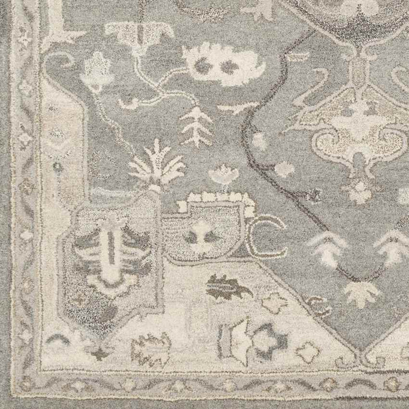 Roblin Traditional Taupe Area Rug