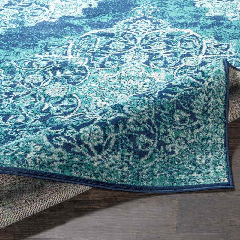 Radville Traditional Teal Area Rug