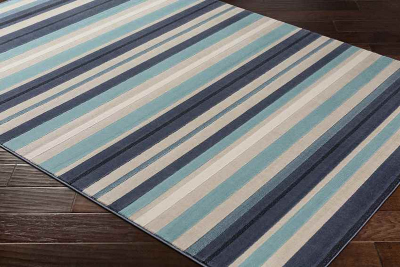 Wapella Modern Aqua Area Rug