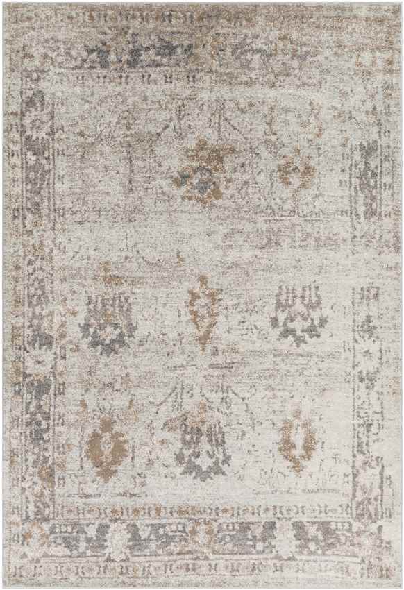 Hatsum Traditional Medium Gray Area Rug