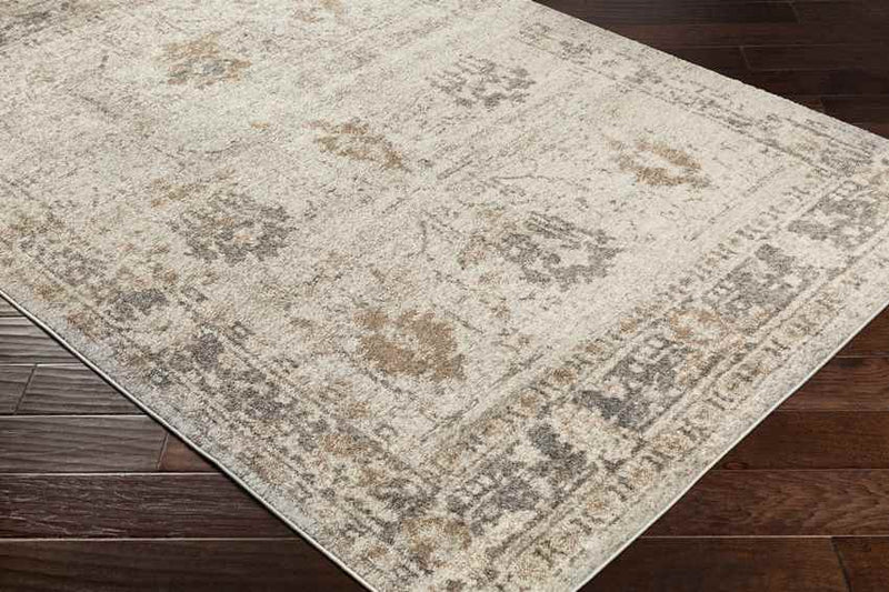 Hatsum Traditional Medium Gray Area Rug