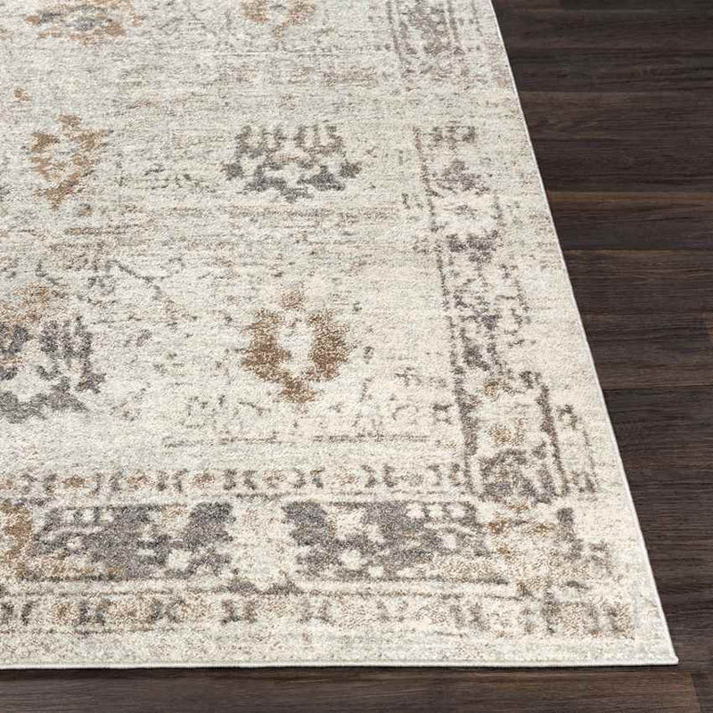 Hatsum Traditional Medium Gray Area Rug