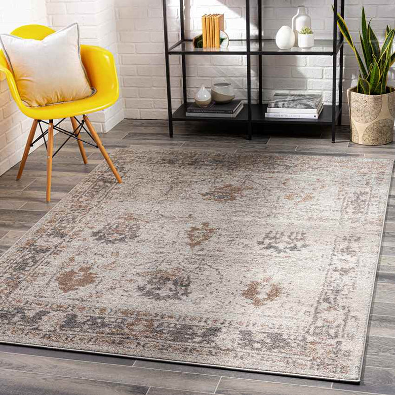 Hatsum Traditional Medium Gray Area Rug