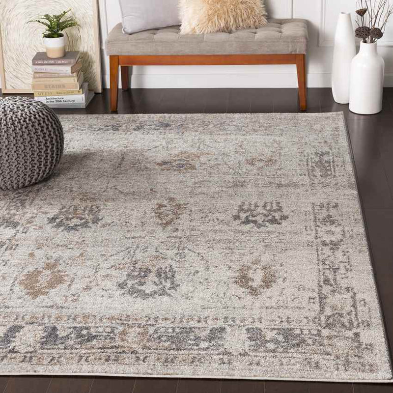 Hatsum Traditional Medium Gray Area Rug