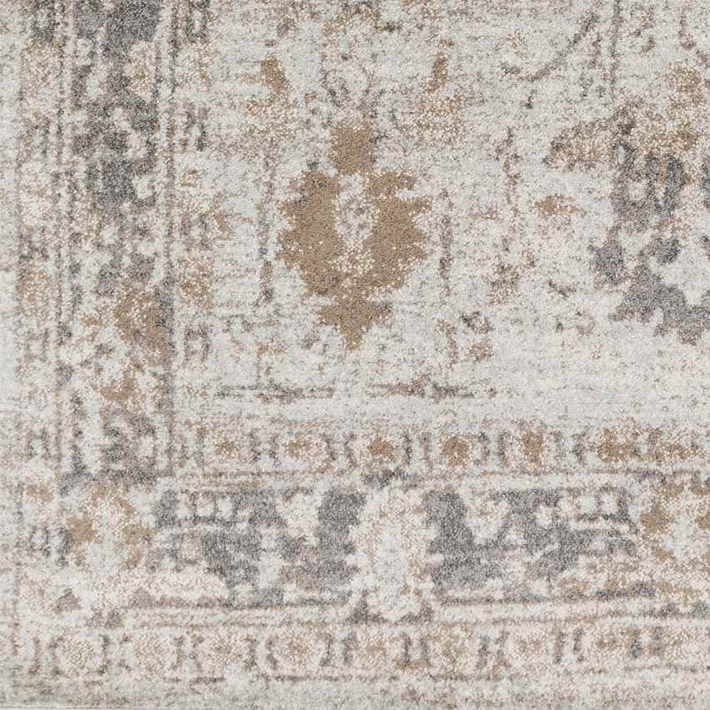 Hatsum Traditional Medium Gray Area Rug