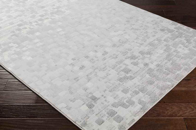 IJlst Modern Light Gray Area Rug