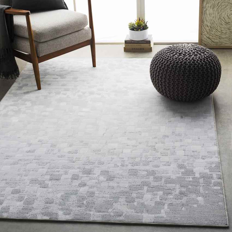 IJlst Modern Light Gray Area Rug