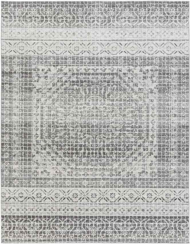 Langweer Traditional Light Gray Area Rug