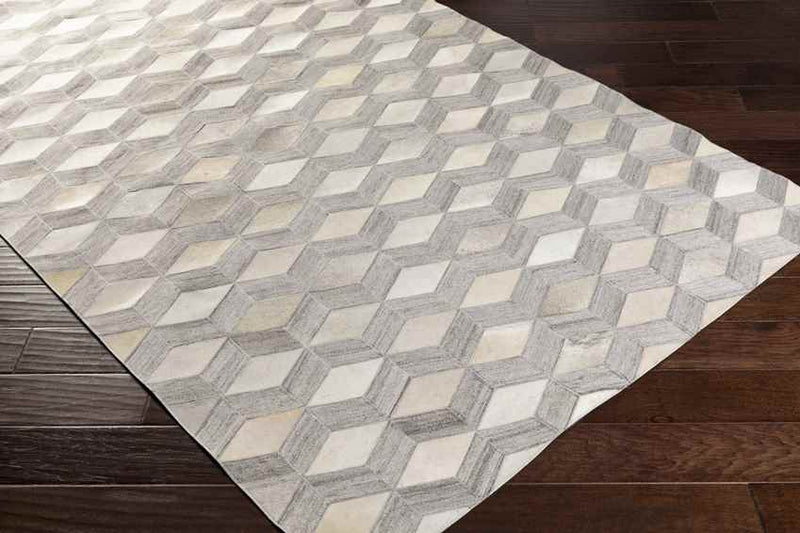 Maemert Modern Ivory Area Rug