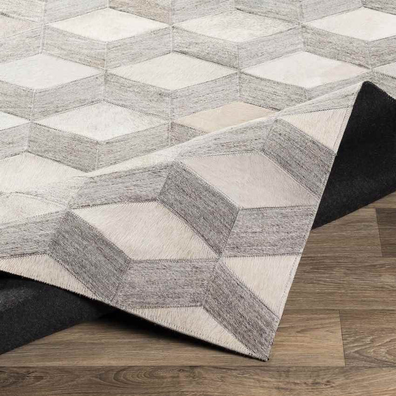 Maemert Modern Ivory Area Rug