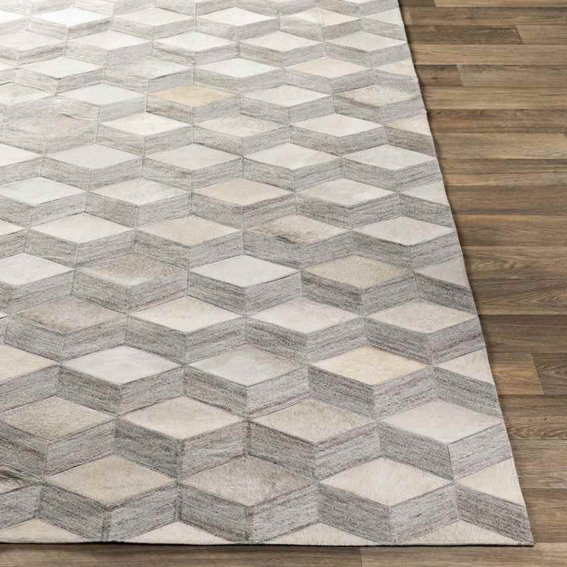 Maemert Modern Ivory Area Rug