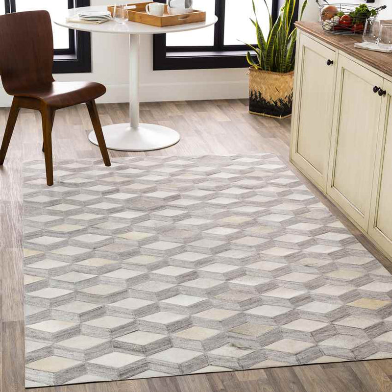 Maemert Modern Ivory Area Rug