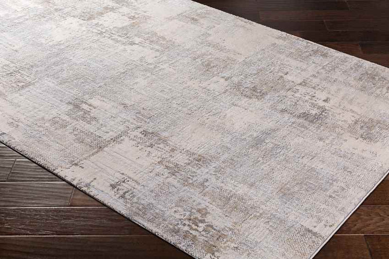 Polle Modern Light Gray Area Rug