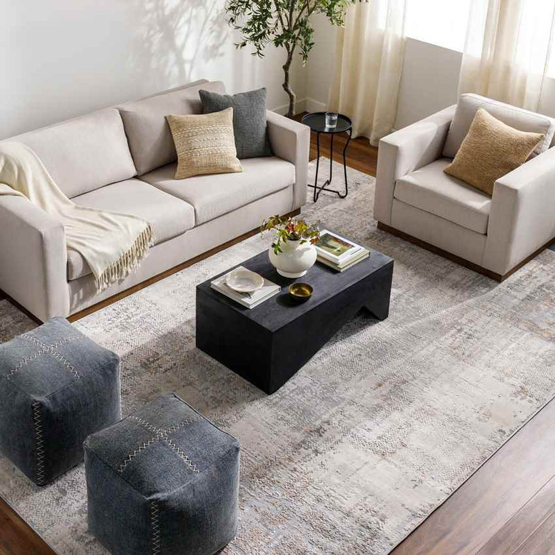 Polle Modern Light Gray Area Rug