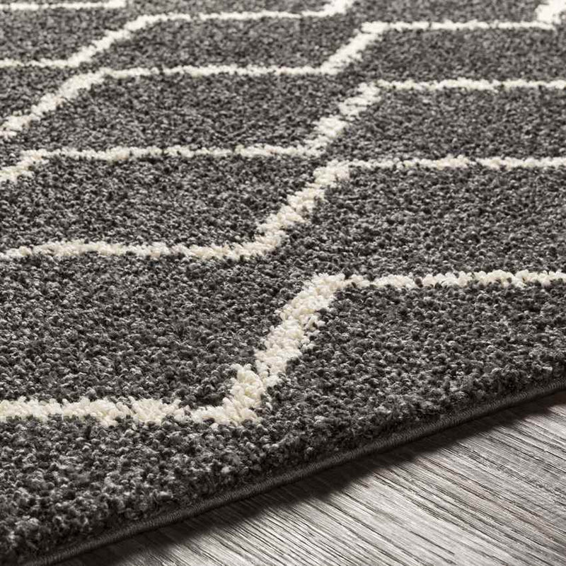 Lalla Global Charcoal Area Rug