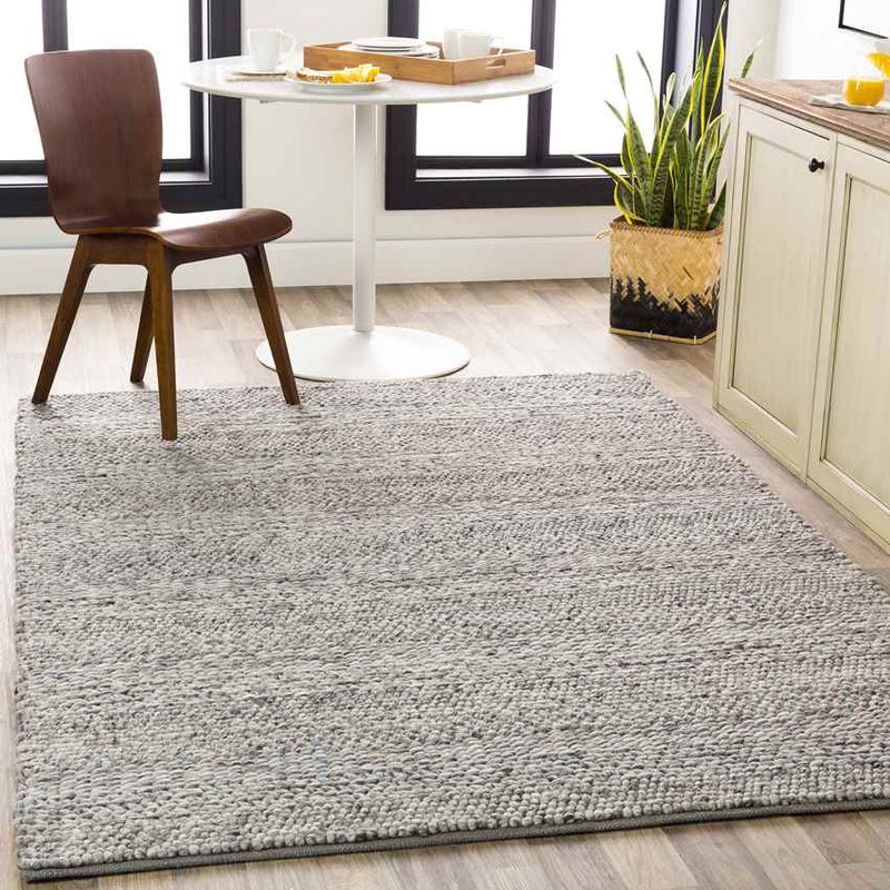 Dijon Modern Silver Gray Area Rug