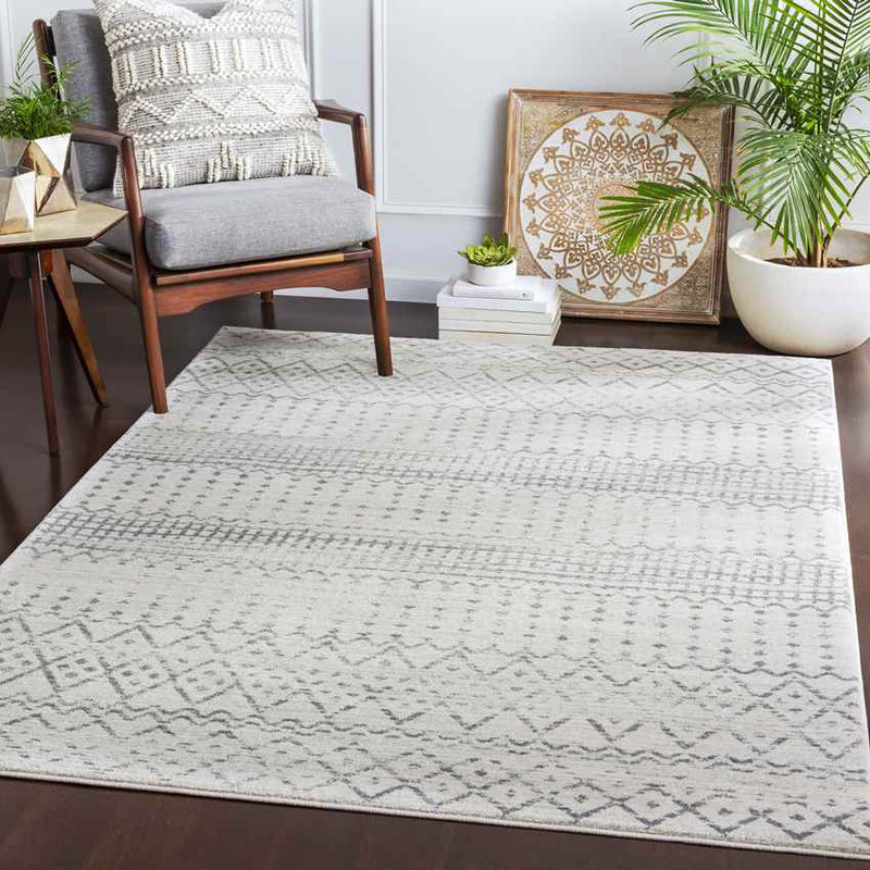 Schrins Global Light Gray Area Rug