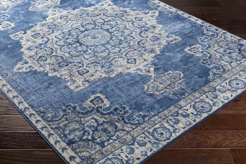 Staveren Traditional Bright Blue Area Rug