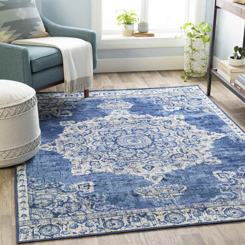 Staveren Traditional Bright Blue Area Rug