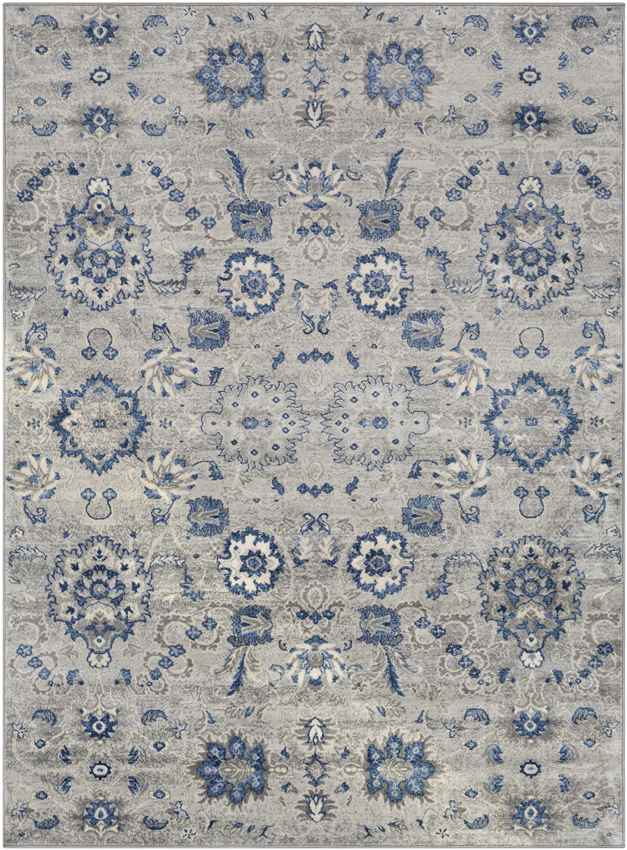 Steenvak Traditional Medium Gray Area Rug