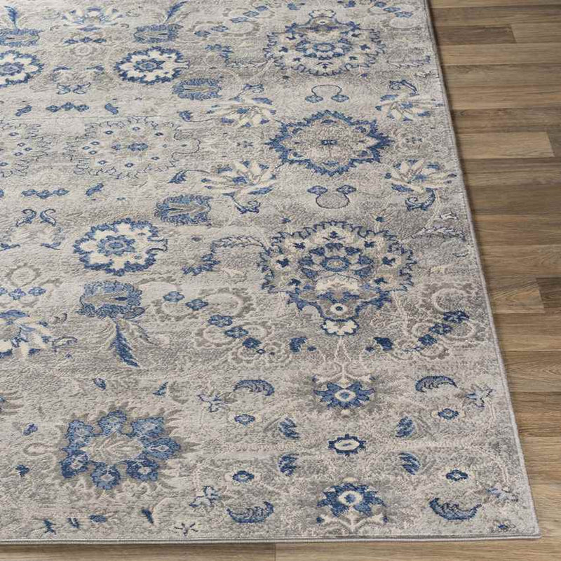 Steenvak Traditional Medium Gray Area Rug