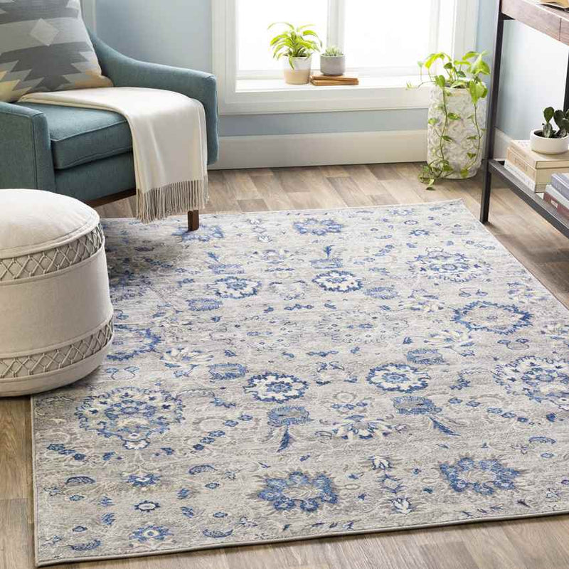 Steenvak Traditional Medium Gray Area Rug