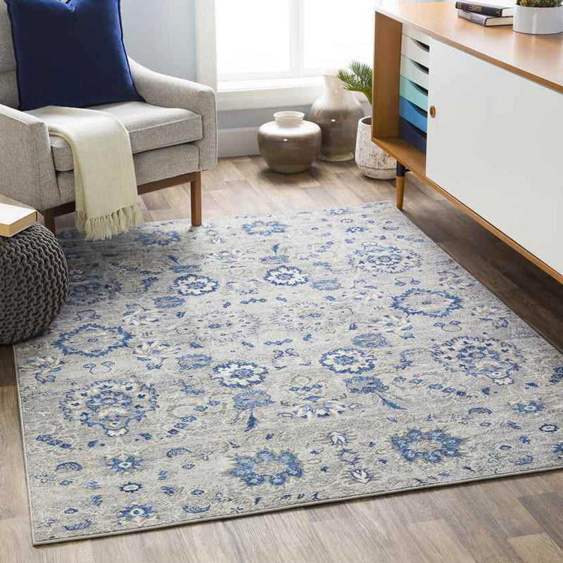 Steenvak Traditional Medium Gray Area Rug