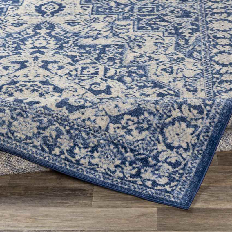 Troyes Traditional Bright Blue Area Rug