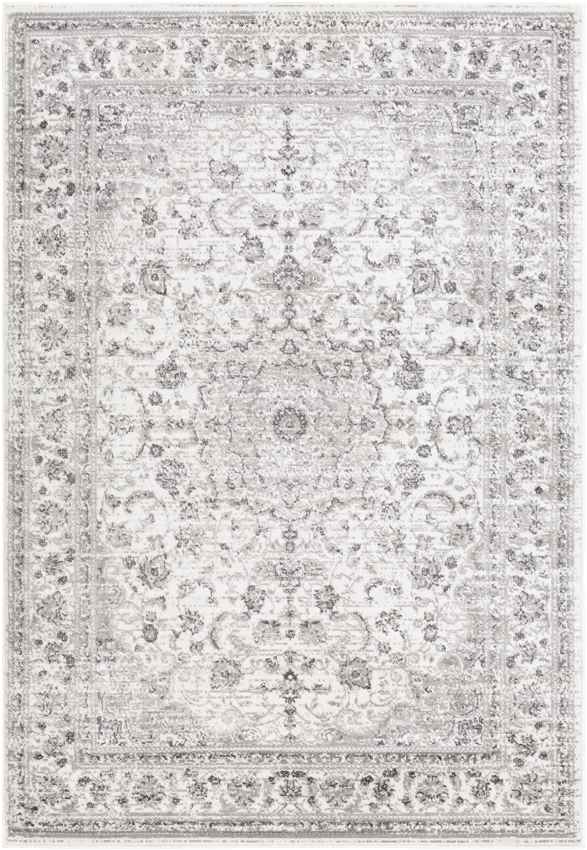 Terband Traditional Light Gray Area Rug