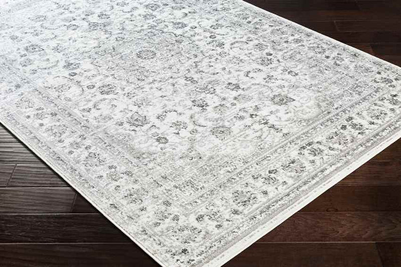 Terband Traditional Light Gray Area Rug