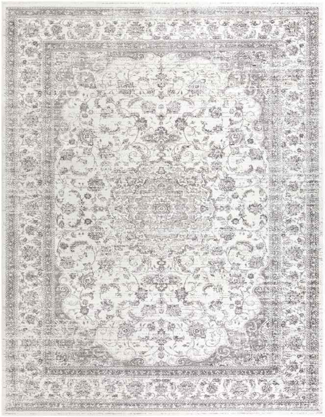 Terband Traditional Light Gray Area Rug