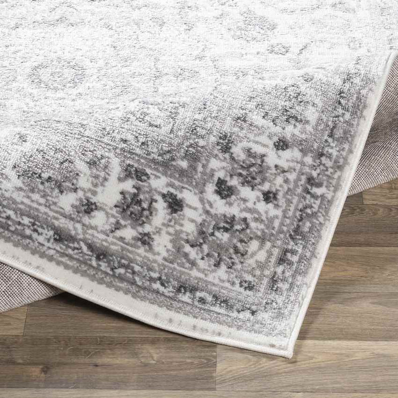 Terband Traditional Light Gray Area Rug