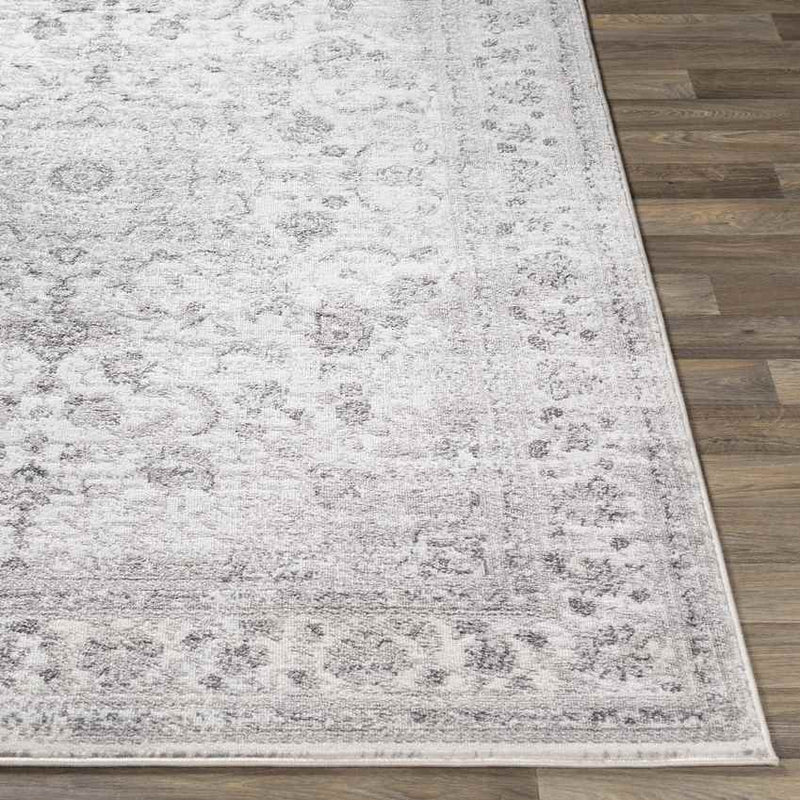 Terband Traditional Light Gray Area Rug