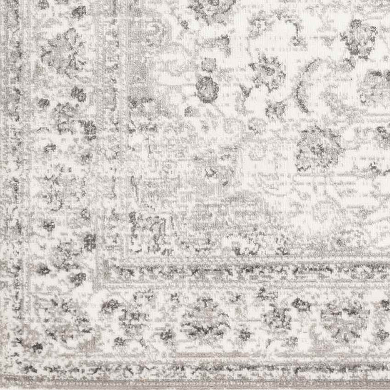 Terband Traditional Light Gray Area Rug