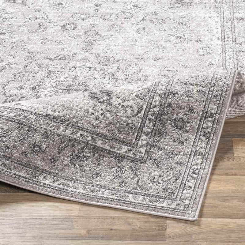 Terband Traditional Charcoal Area Rug