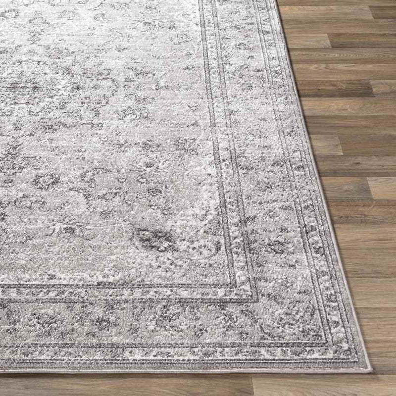 Terband Traditional Charcoal Area Rug