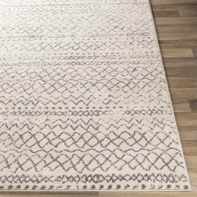 Trophorne Global Medium Gray Area Rug