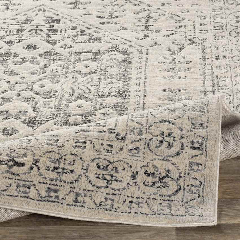 Warns Traditional Taupe Area Rug