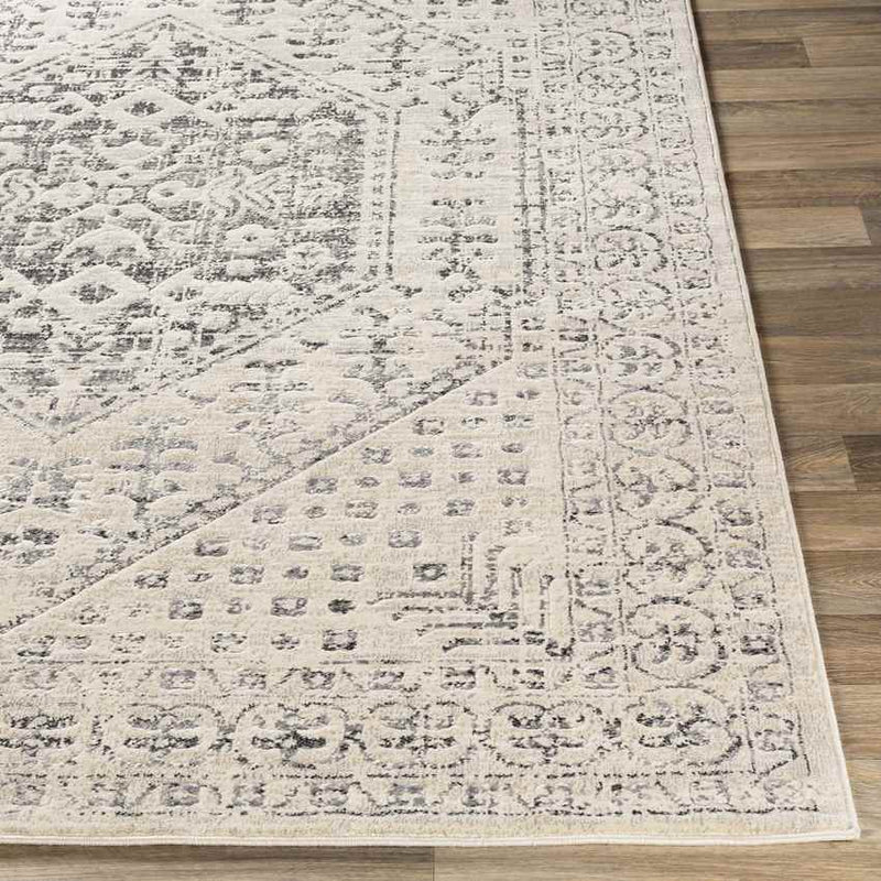 Warns Traditional Taupe Area Rug