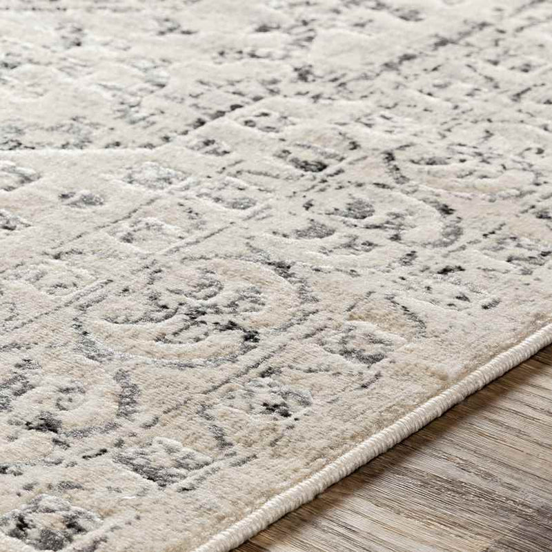 Warns Traditional Taupe Area Rug