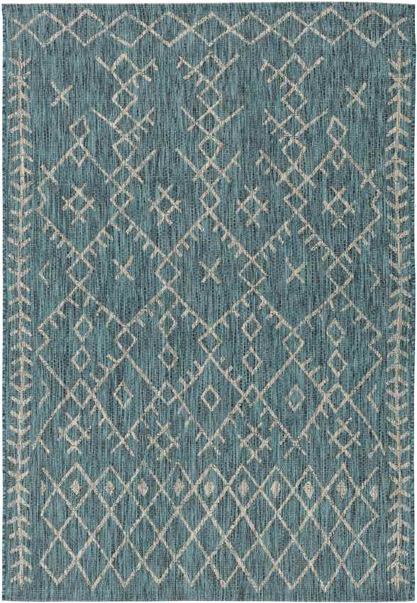 Wijnaldum Global Aqua Area Rug