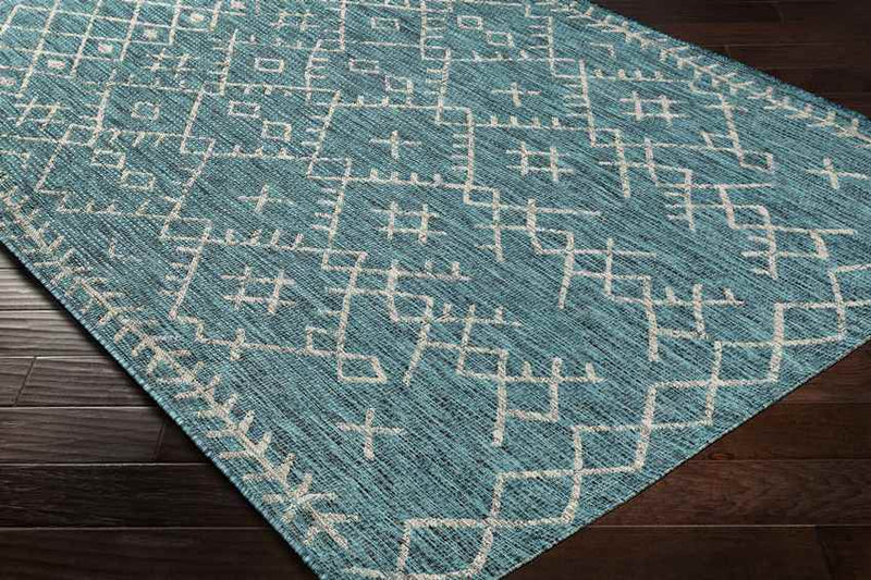 Wijnaldum Global Aqua Area Rug