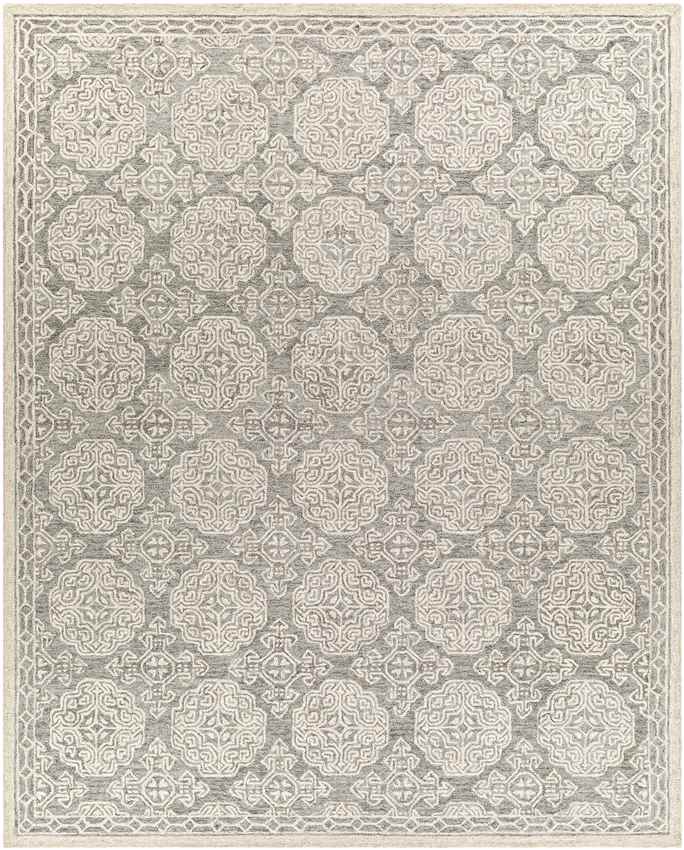 Wilaard Traditional Medium Gray Area Rug