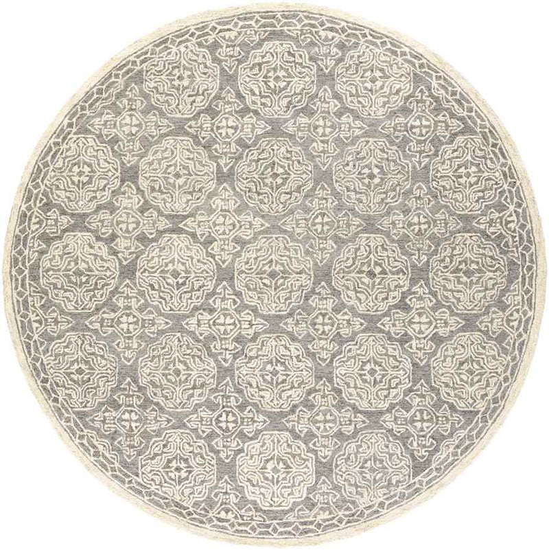 Wilaard Traditional Medium Gray Area Rug