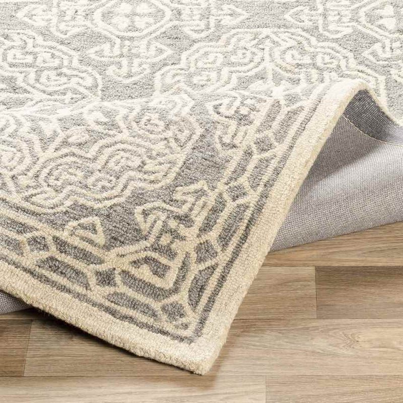 Wilaard Traditional Medium Gray Area Rug